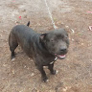 Meet your Posher, Elsa